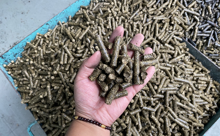 鋸末顆粒機的生物質(zhì)顆粒燃料