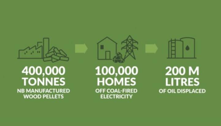 全球48%的木屑顆粒消費(fèi)來自住宅和商業(yè)建筑。從2020年到2021年，歐洲家庭生物質(zhì)消費(fèi)量增長了18%，商業(yè)應(yīng)用增長了12.5%。